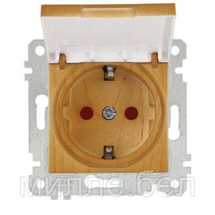 Розетка 1-ая (скрытая, без рамки, с/з, шторки, с крышкой) дуб, RITA, MUTLUSAN (16 A, 250 V, IP 20)