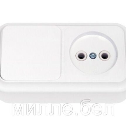 Блок выкл. 1 клав. + розетка (открытая, б/з) белая, Пралеска, BYLECTRICA