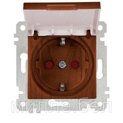 Розетка 1-ая (скрытая, без рамки, с/з, шторки,с крышкой) орех, RITA, MUTLUSAN (16 A, 250 V, IP 20)