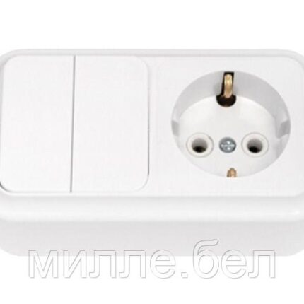 Блок выкл. 2 клав. + розетка (открытая, с/з) белая, Пралеска, BYLECTRICA