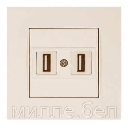 Розетка компьютерная 2хUSB (скрытая) кремовая (не для зарядки) RITA, MUTLUSAN (2xUSB 2.0 для передачи данных,