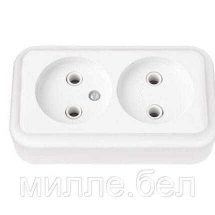 Розетка 2-ая (открытая, б/з) белая, Пралеска, Bylectrica (без монтажной панели)