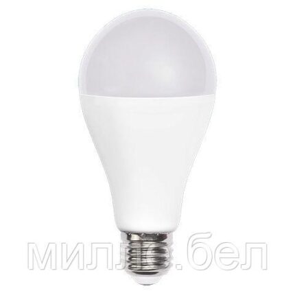 Лампа светодиодная A65 СТАНДАРТ 20 Вт PLED-LX 220-240В Е27 5000К JAZZWAY (130 Вт  аналог лампы накаливания,