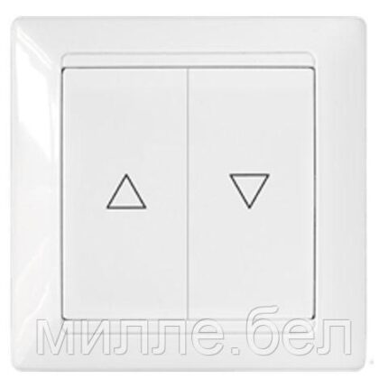 Выключатель 2 клав. с самовозвратом и механич. блокировкой (скрытый) белый, Стиль, Bylectrica