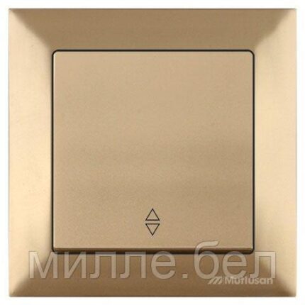 Выключатель проходной 1-клав. (скрытый, пруж. зажим) зололото, DARIA, MUTLUSAN (10 A, 250 V, IP 20)