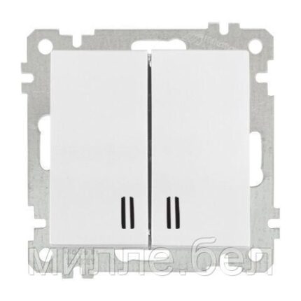 Выключатель 2-клав. (с подсветкой, скрытый, винт. зажим) белый, ELITRA, MUTLUSAN (10 A, 250 V, IP 20)
