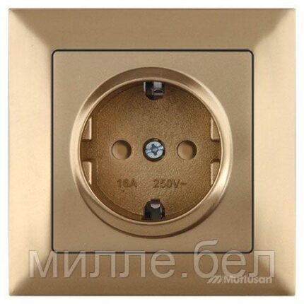 Розетка 1-ая (скрытая, с/з, шторки) золото, DARIA, MUTLUSAN (16 A, 250 V, IP 20)