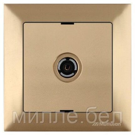 Розетка телевиз. 1-ая (скрытая, с/з, 11dB, переходная) золото, DARIA, MUTLUSAN