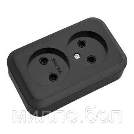 Розетка 2-ая (открытая, б/з) черная, Пралеска, Bylectrica