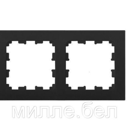 Рамка 2-местная карбон Astrum, BYLECTRICA