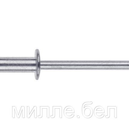 Заклепка вытяжная 3.2х8 мм сталь/сталь, цинк (1000 шт в карт. уп.) STARFIX