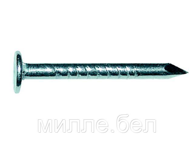 Гвозди толевые цинк 2.0х25 мм ГОСТ 4029-63 (1 кг в пласт. конт.) STARFIX