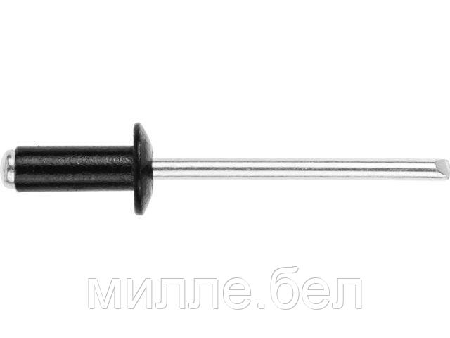 Заклепка вытяжная 4.8х12 мм алюминий/сталь, RAL 9017 (150 шт в пласт. конт.) STARFIX (Цвет транспортно-черный)