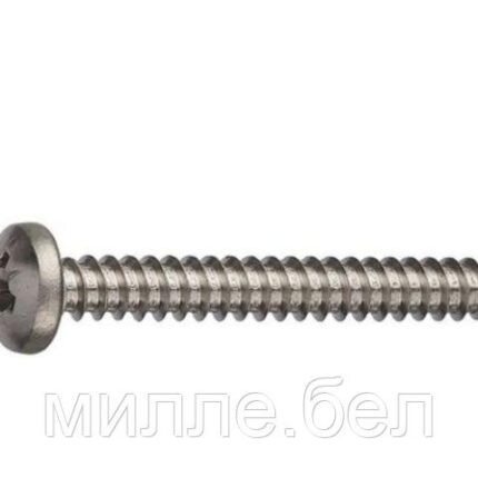 Саморез 4.2х19 мм полусф. головка, острый, нерж.сталь (А2), DIN 7981 (1000 шт в карт. уп.) (STARFIX)