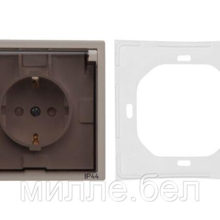 Розетка 1-ая с з/к крышкой прозрачн (скрытая, с/з, з/ш, брызг. защ.) песочная, Carre, BYLECTRICA