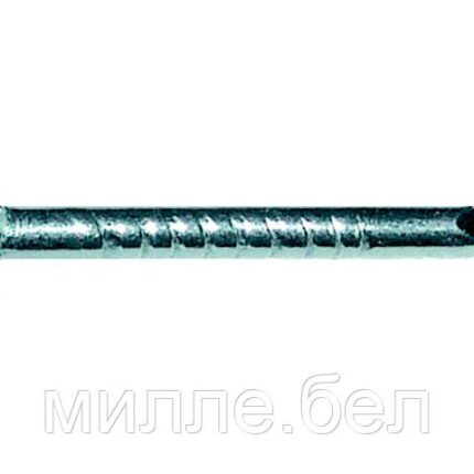 Гвозди толевые 2.0х20 мм ГОСТ 4029-63 (1 кг в пласт. конт.) STARFIX