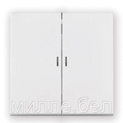 Выключатель 2 клав. (cкрытый, узел, 10А) со световой индикацией белый, Carre, BYLECTRICA